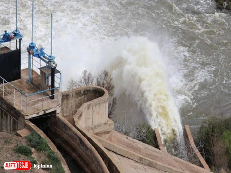 ALERTE TSGJB Maroc : 9e producteur d’hydroelectricite en Afrique en 2025