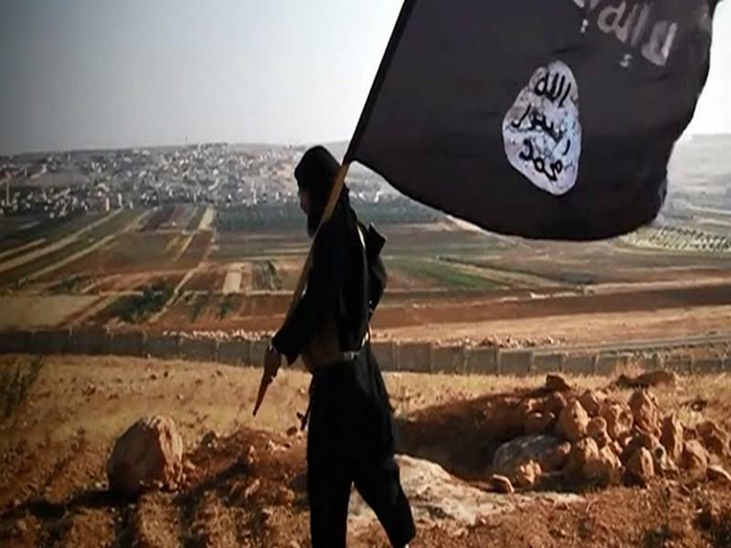 Daech a perdu près de deux tiers de ses djihadistes