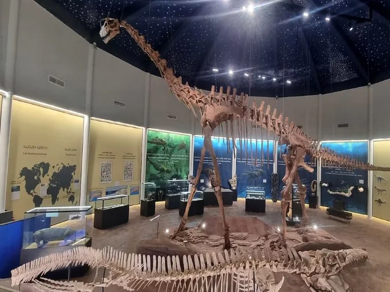 Dino Parc à Azilal : Un parc à thème pour le tourisme vert