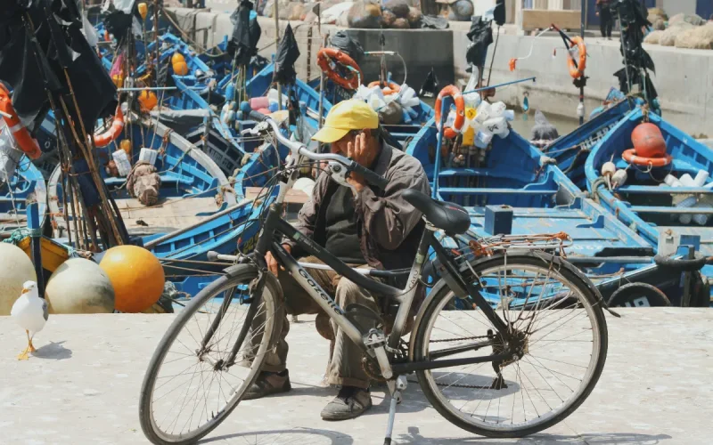 ALERTE TSGJB - Aquaculture au Maroc : près de 2 milliards de dollars d’investissements et 75 000 emplois potentiels