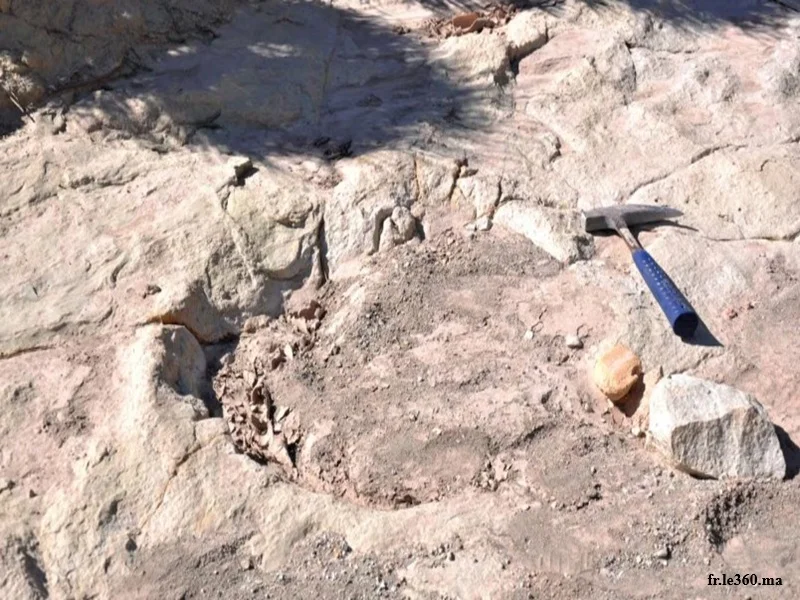 Moyen Atlas : fossiles de dinosaures à Boulahfa