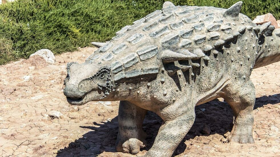#Maroc_Archeologie_Paleontologie:: Découverte d'un fossile d'ankylosaure vieux de 168 millions d'an