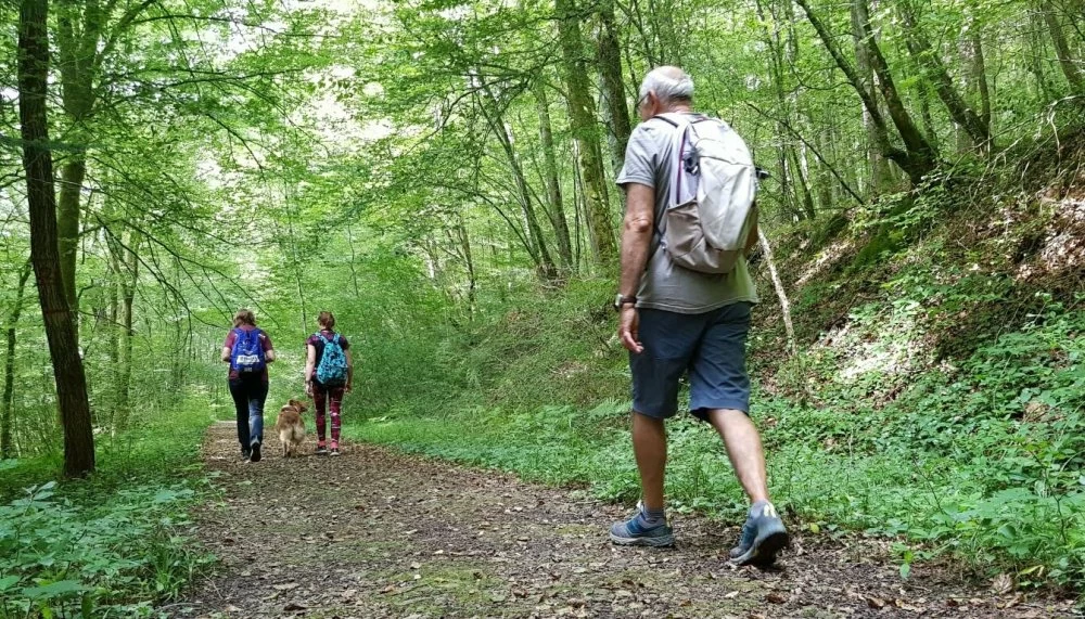 Tourisme vert au Maroc : Ifrane accueille un forum clé