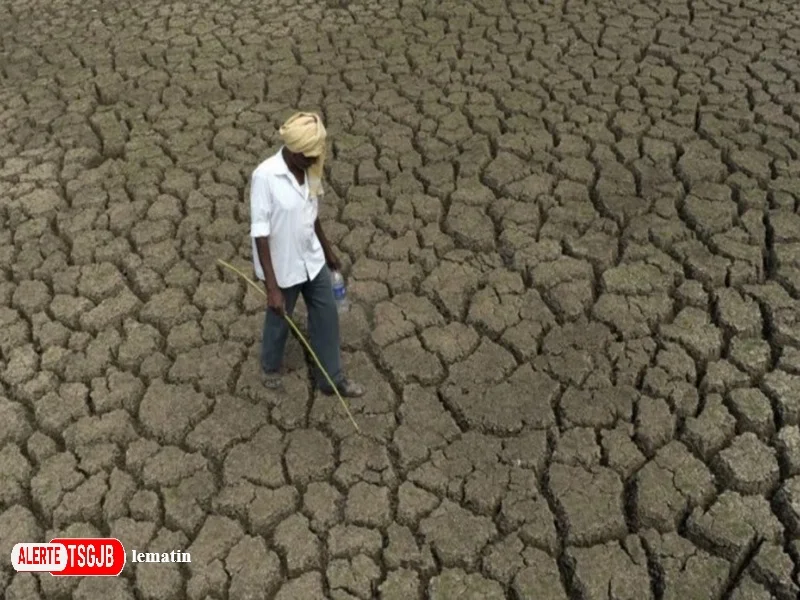 ALERTE TSGJB El Nino 2026 : un episode record menace le climat mondial
