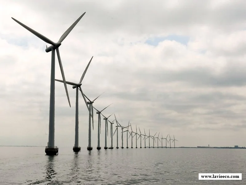Maroc : 1er projet éolien offshore lancé à Essaouira