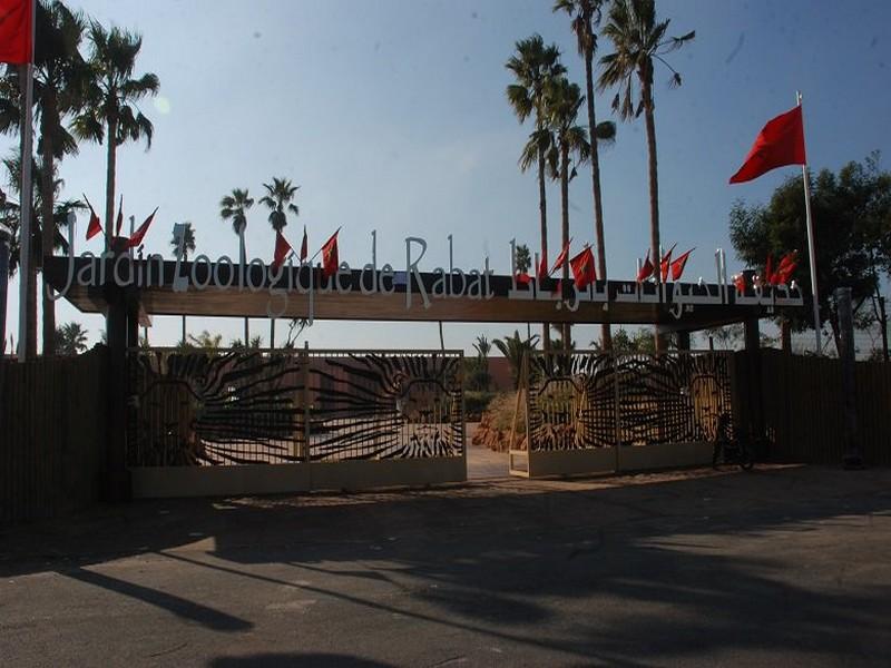 Le jardin zoologique de Rabat souffle sa 7e bougie