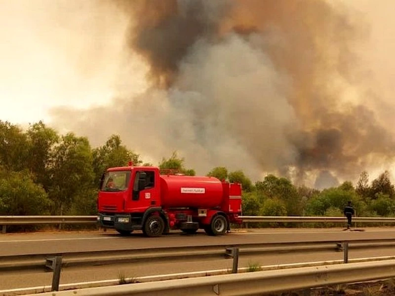 Au Maroc, les feux de forêt redoublent d’intensité
