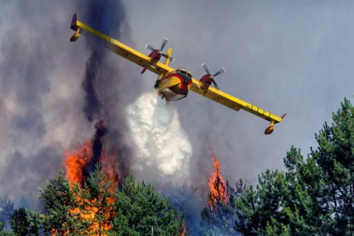 Feux de forêt au Maroc : les FAR renforcent la lutte aérienne avec les Canadair, Super Puma et Turbo Thrush