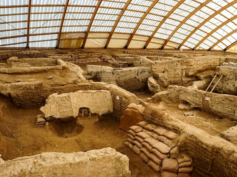 Découverte à Taforalt : l'usage de plantes médicinales par l'Homme il y a 15 000 ans au Maroc