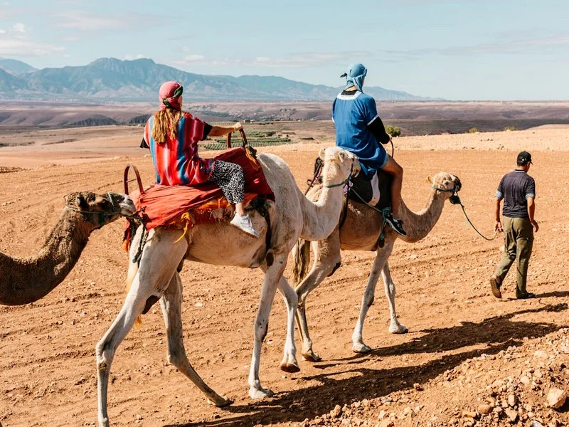 Tourisme à Agadir : 1,16 Million de Visiteurs en 2024 Portés par le Dynamisme du Marché Britannique