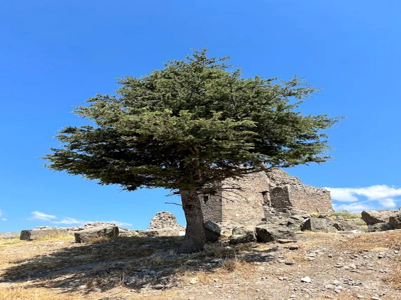 Le site préhistorique Laghchiwate : un trésor archéologique unique au Maroc