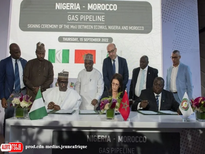 ALERTE TSGJB Gazoduc Nigeria-Maroc : la CEDEAO approuve le projet 