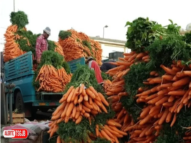 ALERTE TSGJB Prix des fruits et legumes au Maroc : les intermediaires dans le viseur
