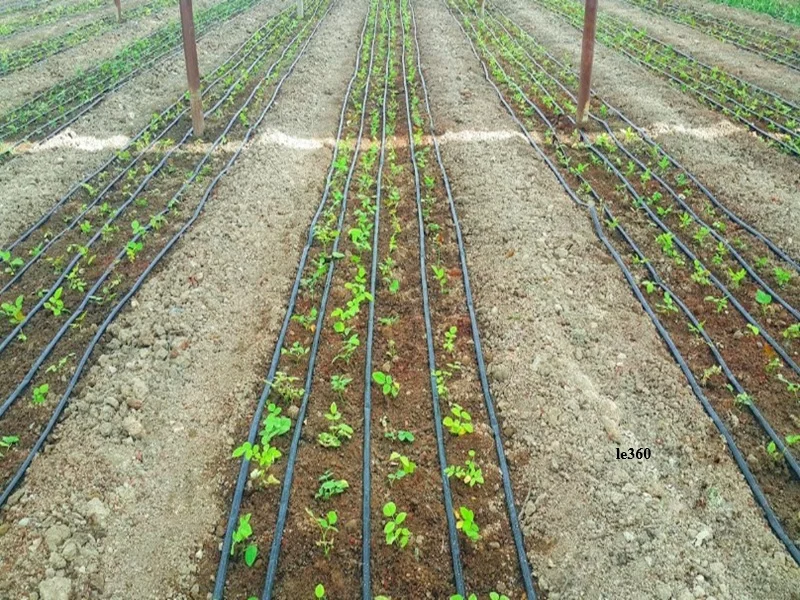 Maroc–Japon : prêt pour moderniser l’irrigation du Gharb 