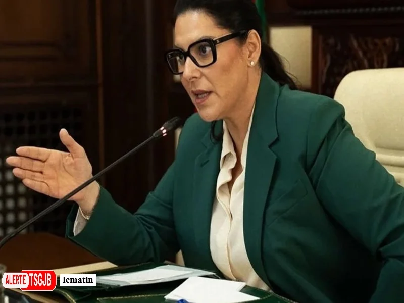 ALERTE TSGJB Gouvernement El Mansouri : nouvelles priorites et remaniement au Maroc