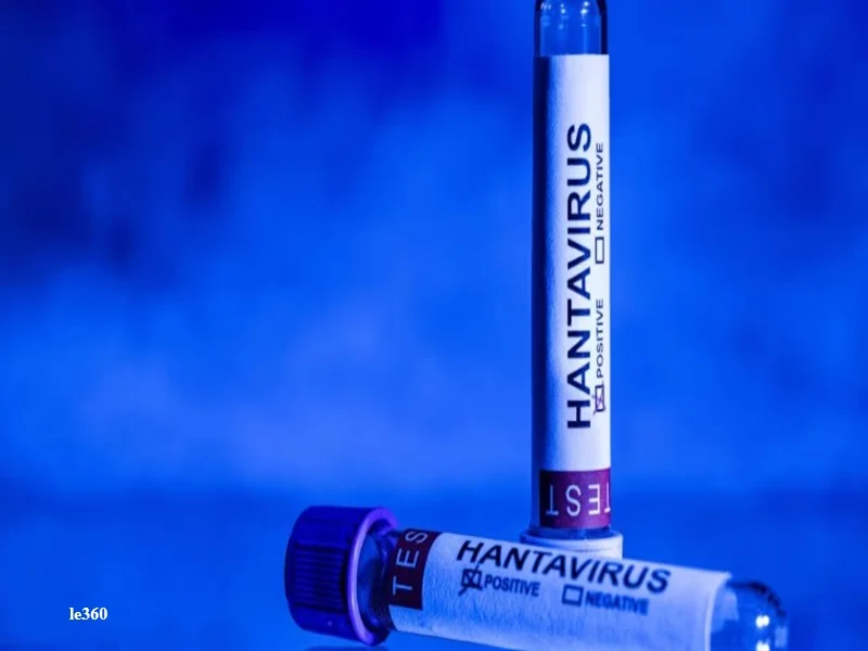 Hantavirus Andes : l’OMS confirme une transmission humaine sur un navire de croisiere 