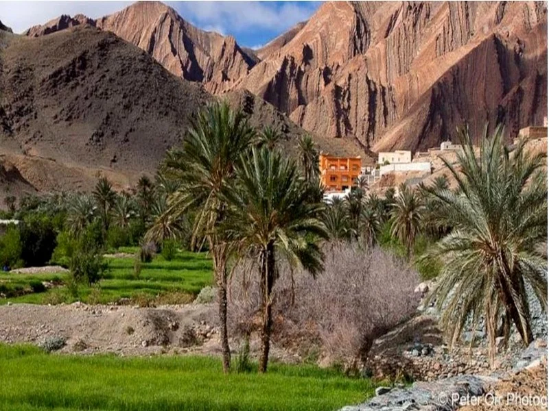 Les pluies diluviennes sur les provinces sahariennes du Maroc : entre inondations et espoir d'une campagne agricole précoce