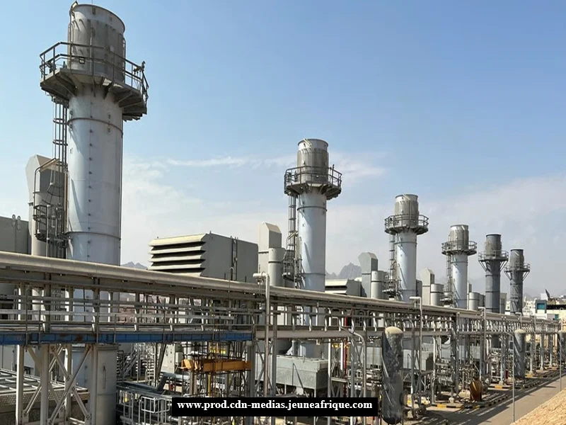 Hydrogène vert : les Pays-Bas visent haut en Afrique