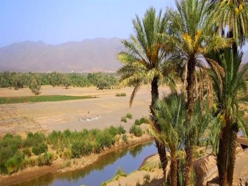 Le rôle vital des oasis mis en relief à Ouarzazate