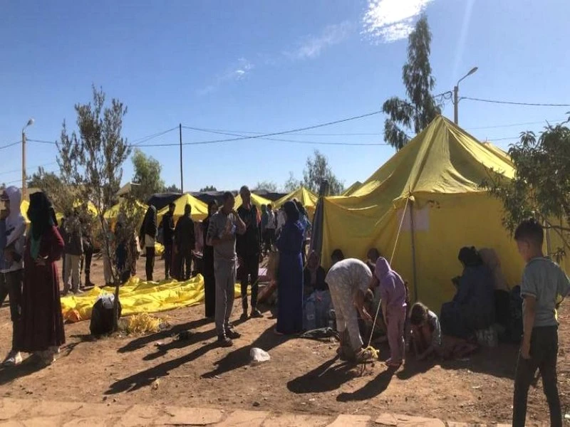 Séisme d'Al Haouz : Insaf appelle au don de palettes pour les tentes