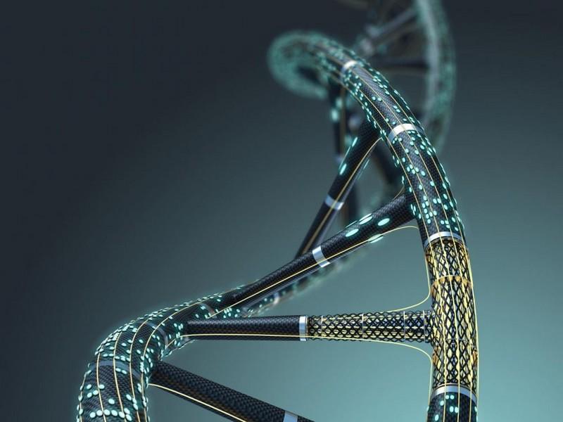 #GENOMES_HUMAINS_PROGRES_EN_IA: La première intelligence artificielle capable de créer des génomes humains