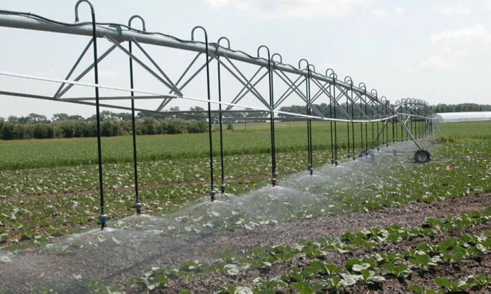 Aménagement hydroagricole de Tamri : gestion durable au Souss