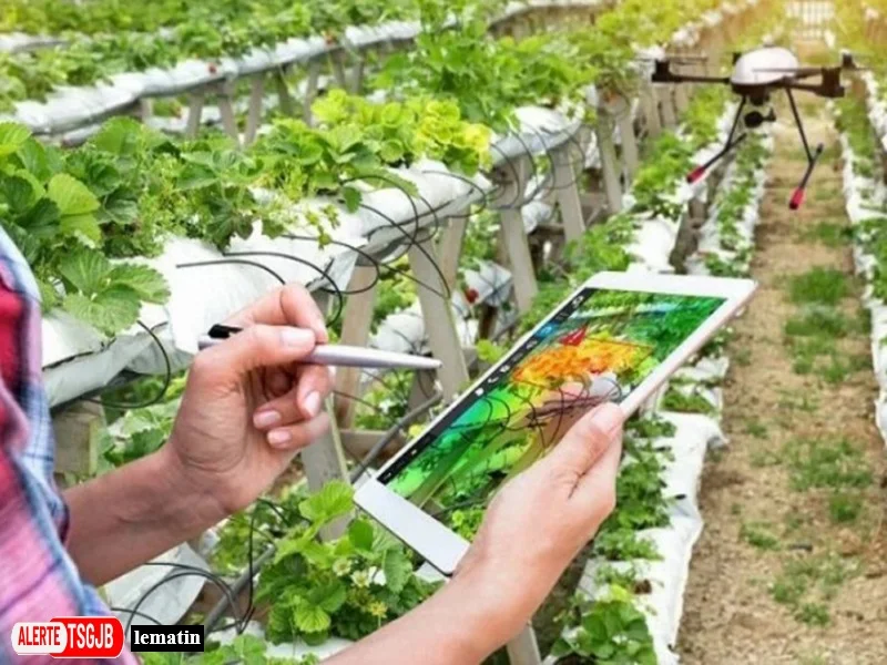 ALERTE TSGJB Oriental : le projet REDI renforce l’irrigation durable et le conseil agricole