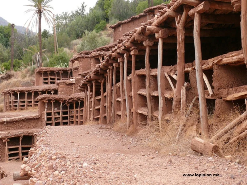 Inzerki : rucher traditionnel du Maroc en voie d’UNESCO
