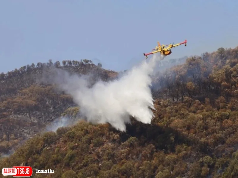 ALERTE TSGJB Incendies de foret au Maroc : Taroudant, Tata et Beni Mellal en alerte