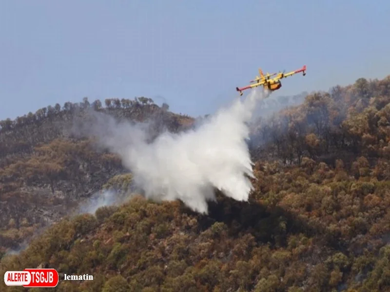 ALERTE TSGJB Incendies de foret au Maroc : l’ANEF place 12 provinces en alerte rouge du 6 au 12 juillet