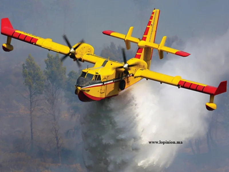Incendies de forêt au Maroc : vigilance face à l'été 2025