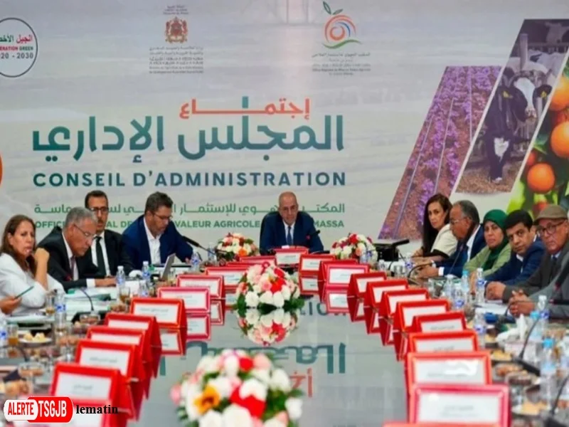 ALERTE TSGJB Souss-Massa : les investissements agricoles renforcent la resilience face au stress hydrique