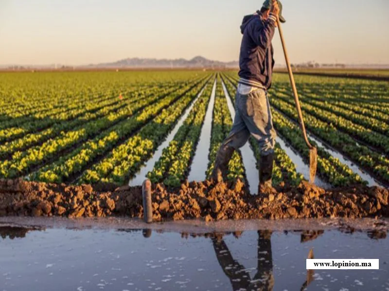 Congrès UGAM 2025 : cap sur une agriculture durable au Maroc