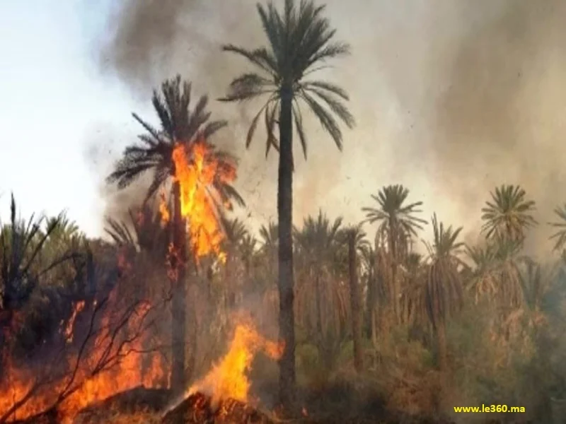 Climat au Maroc : précipitations en hausse mais résilience hydrique toujours fragile