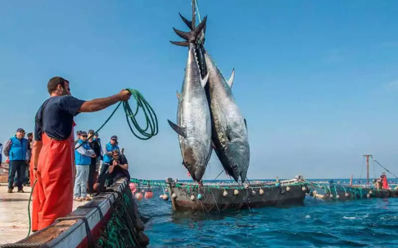 Le Maroc renforce sa coopération maritime avec la Russie après l'annulation des accords de pêche avec l'UE