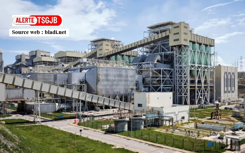 ALERTE TSGJB: Transition énergétique : le Maroc reste le premier consommateur de charbon du monde arabe