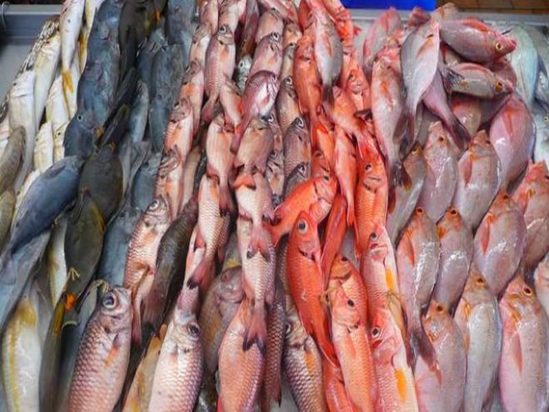 Les produits de la pêche ont le vent en poupe au Maroc