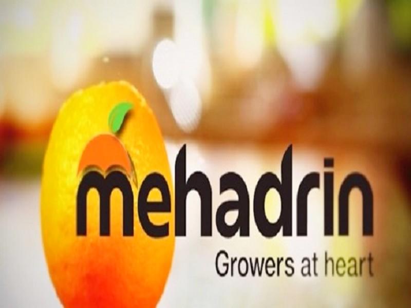 La société israélienne Mehadrin noue une joint-venture au Maroc