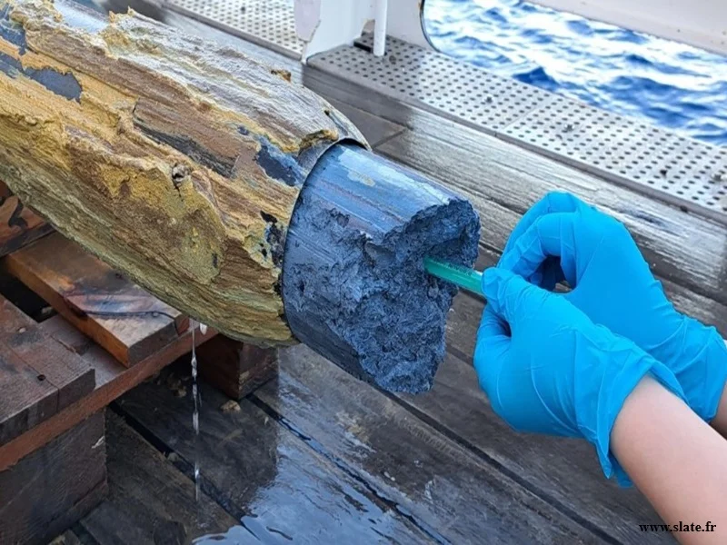 Découverte d’extrémophiles dans une mystérieuse boue bleue 