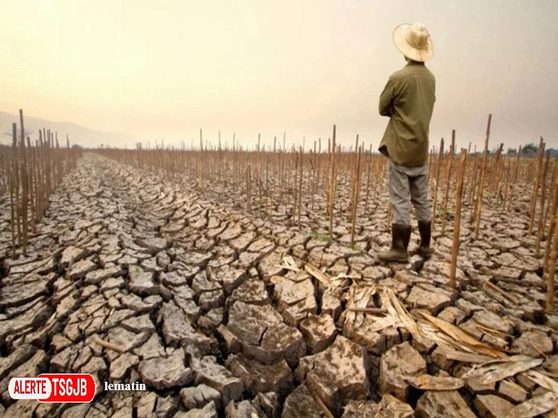 ALERTE TSGJB El Niño 2026-2027 : l’OMM alerte sur un risque accru de phenomenes meteorologiques extremes