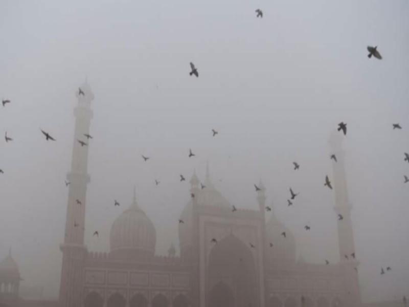Pollution à New Delhi : L’urgence de mesures concrètes de la part de la COP23