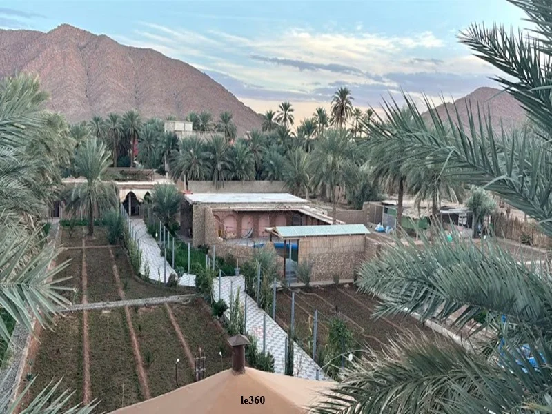 Figuig : une oasis marocaine entre tourisme durable, nature et patrimoine