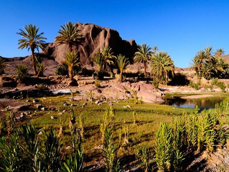 Lancement lundi prochain par le Maroc du programme “Oasis durables“
