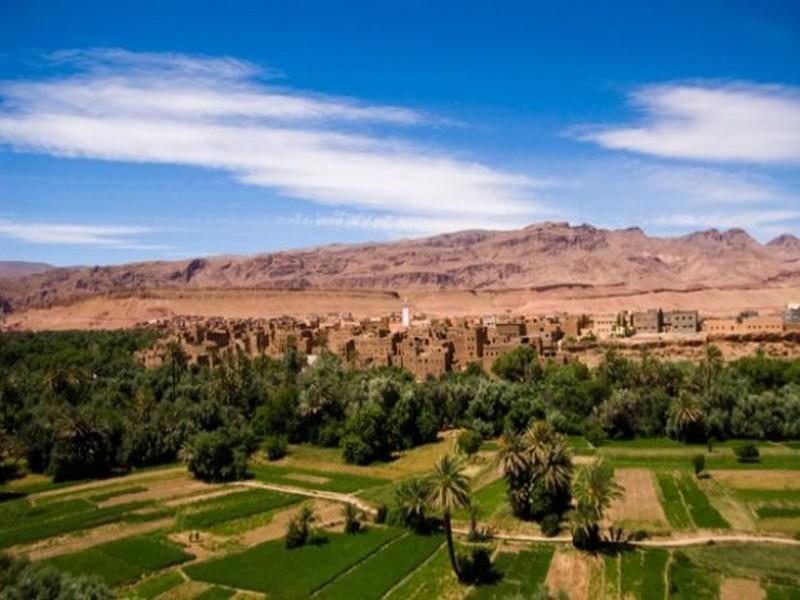 COP22: Comment sauver les oasis marocaines menacées par la désertification?