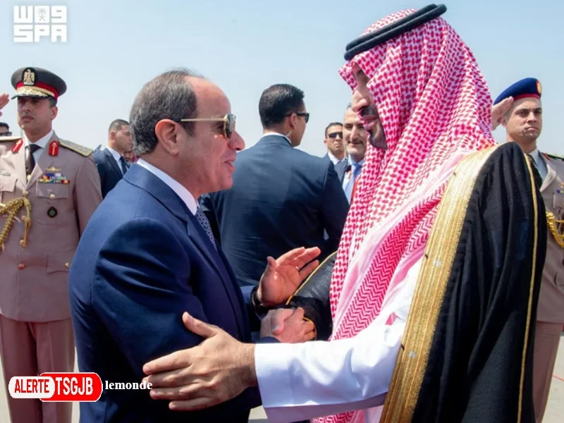 ALERTE TSGJB Mer Rouge : l’Egypte et l’Arabie saoudite alertent sur les risques lies au detroit de Bab Al-Mandab