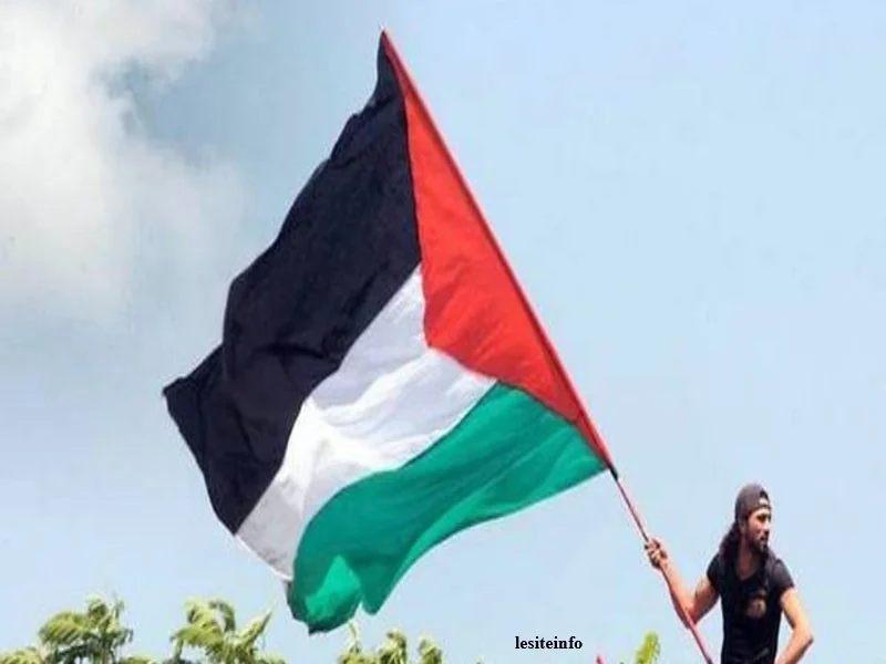 Donald Trump annonce un accord Israël-Hamas sur la première phase du plan de paix pour Gaza