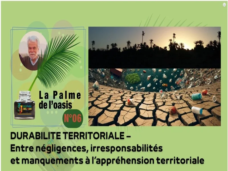 « La Palme de l'Oasis 06 » DURABILITE TERRITORIALE - Entre négligences, irresponsabilités et manquements à l'appréhension territoriale