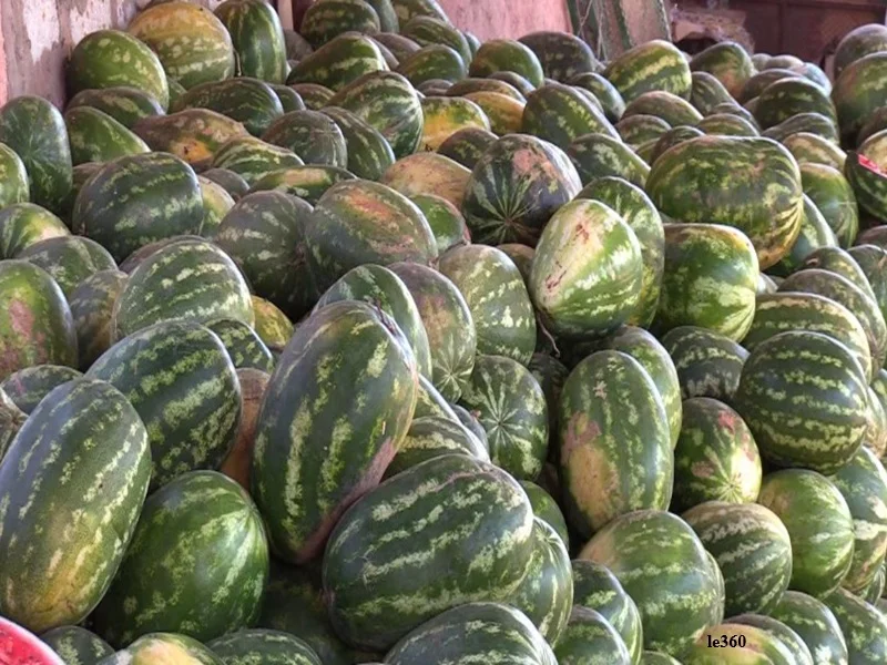 Tata dément toute autorisation de cultures gourmandes en eau