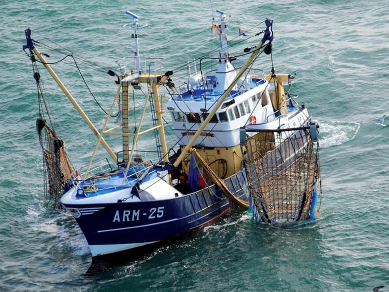 UE-Russie. Que rapportent les accords de pêche au Maroc ?