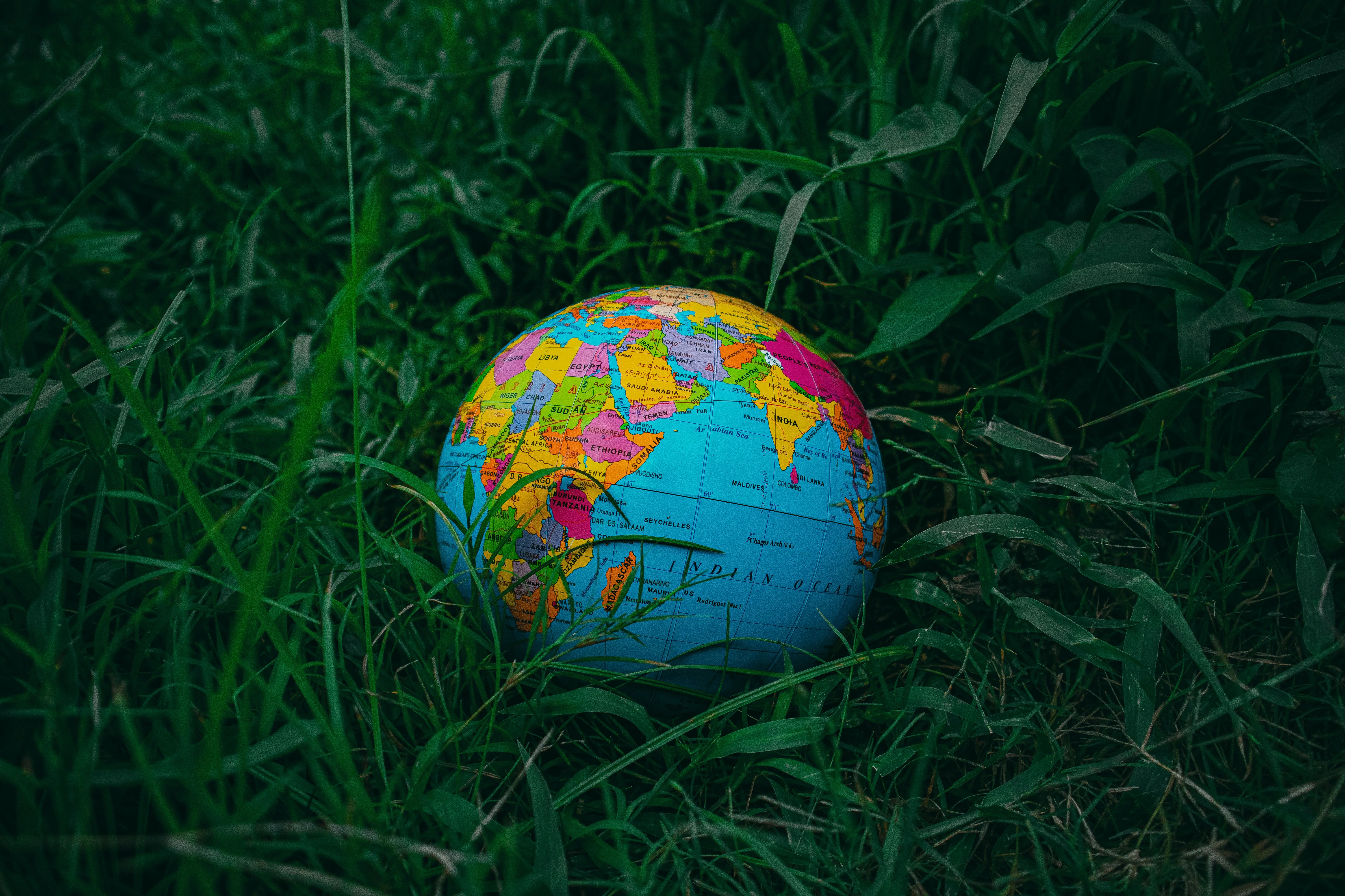 L’homme scie la branche sur laquelle il est assis : S.O.S extinction de masse des espèces Le salut passe par un changement en profondeur